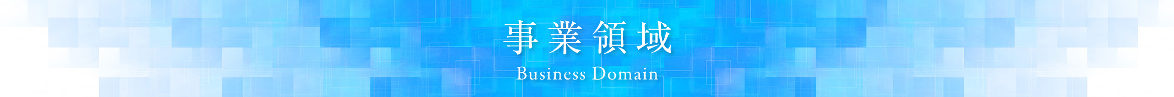 事業領域